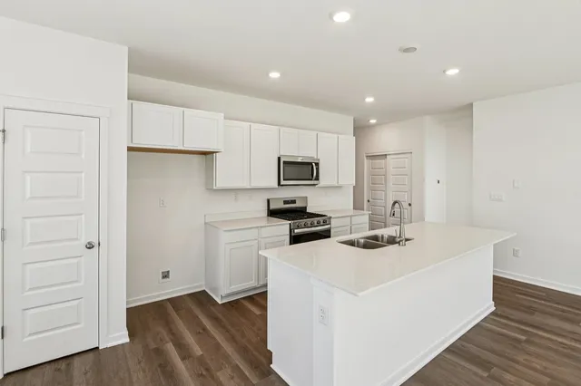 a kitchen with a sink white cabinets and stainless steel appliances