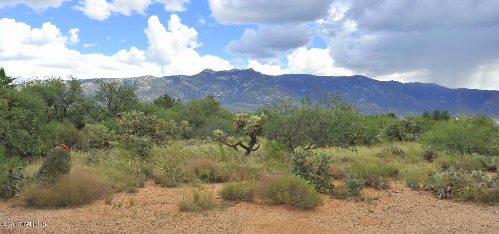 4740 East Wagon Train Road Tucson, AZ 85739 - Photo 34 of 35 Gallery Image 34