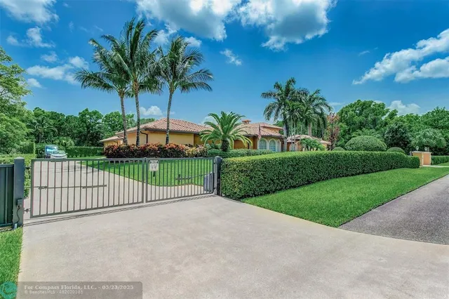 a view of a backyard with a palm tree