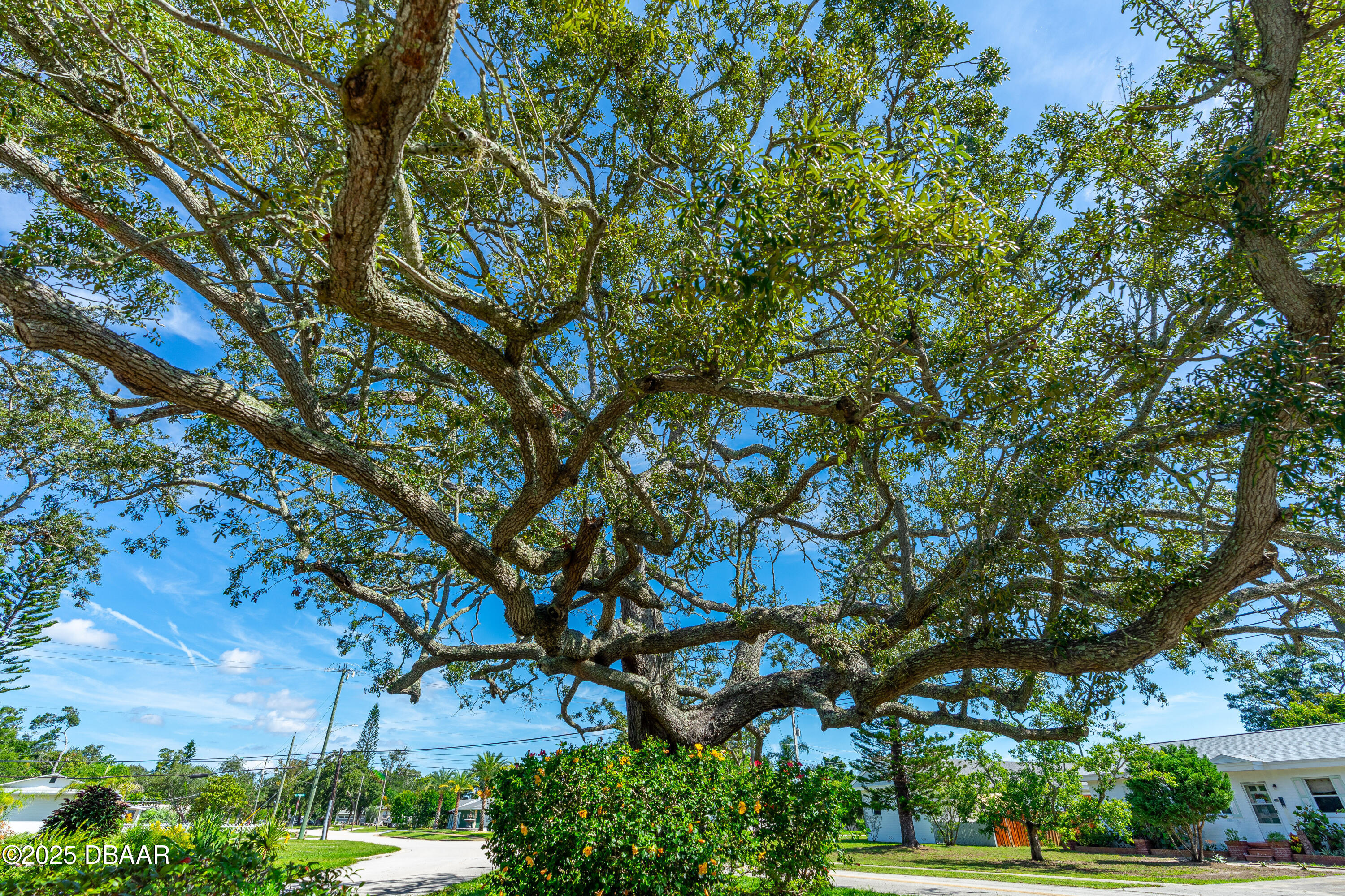 596 South Ridgewood Avenue Ormond Beach, FL 32174 - Photo 38 of 41 596 S. Ridgewood -6