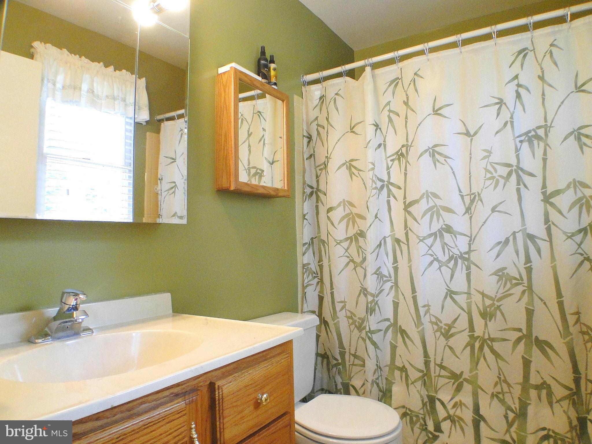 8324 Thornton Road Towson, MD 21204 - Photo 19 of 30 Master Bath w/ combo tub-shower