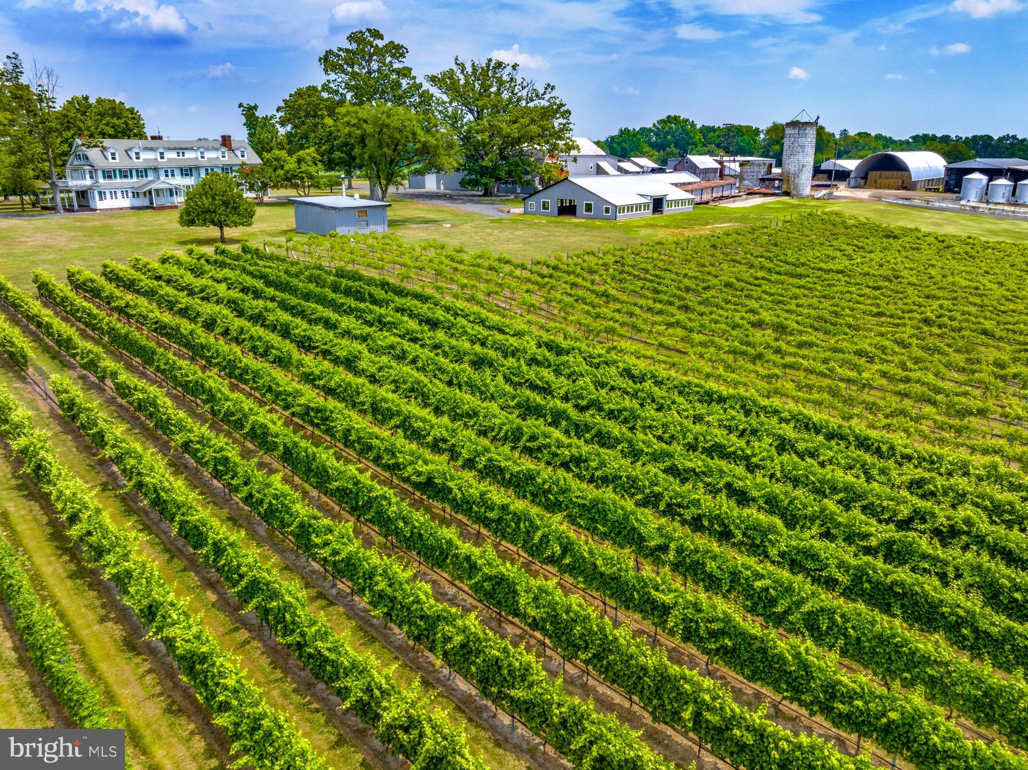 a view of a lake with a building in the background