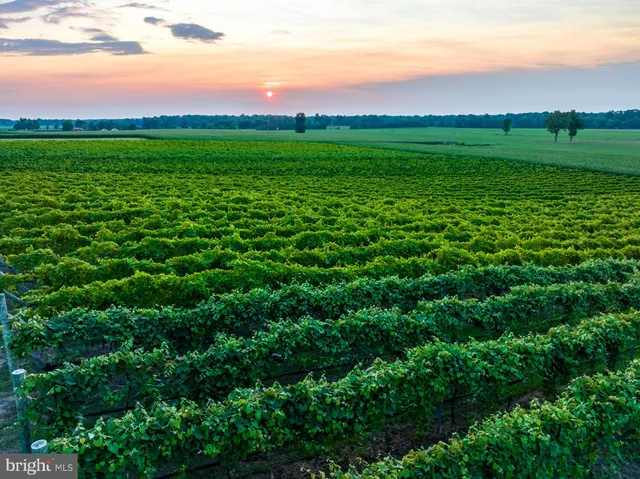 $5,500,000 | 27058 Mt Pleasant Road, Columbus, NJ 08022