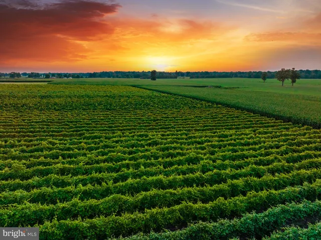 an aerial view of a city with lots of green space
