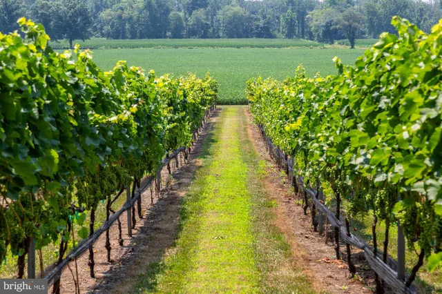 a view of a swimming pool with an outdoor space and seating area