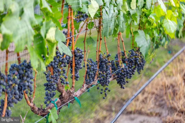 $5,500,000 | 27058 Mt Pleasant Road, Columbus, NJ 08022