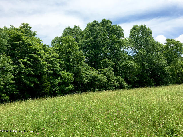 2912 Sunbeam Road Leitchfield, KY 42754 - Photo 77 of 90 IMG_4896