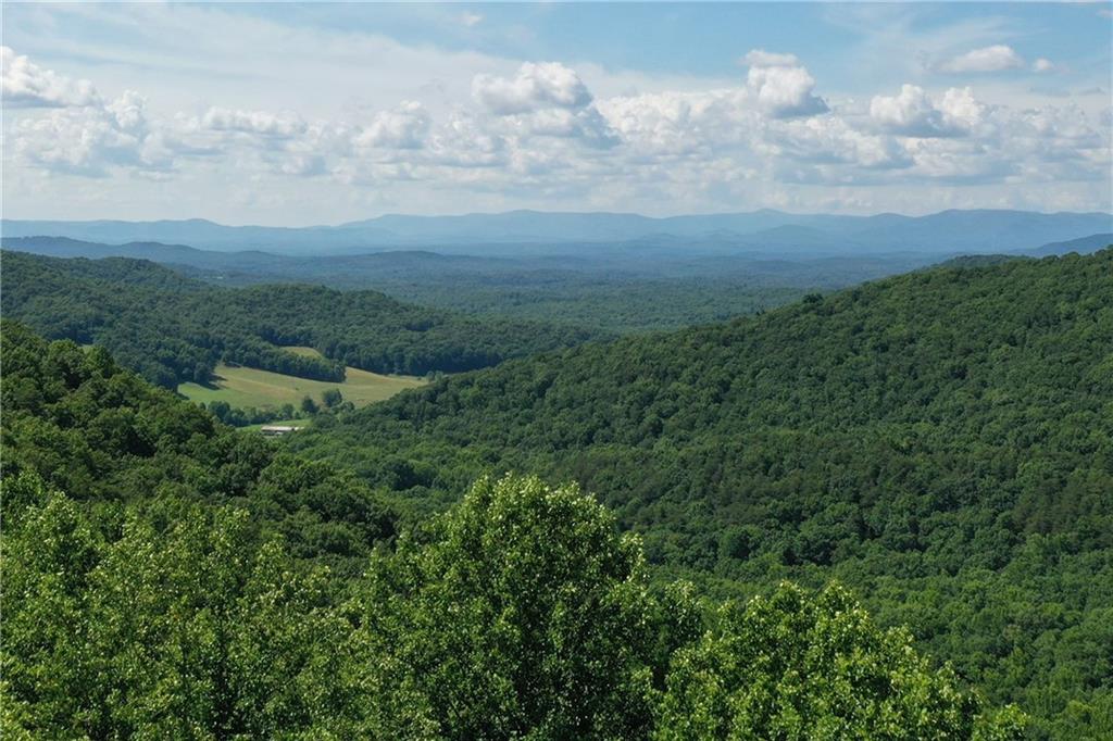 270 R Stone Cliff Drive Talking Rock, GA 30175 - Photo 1 of 34 a view of a field of grass and trees