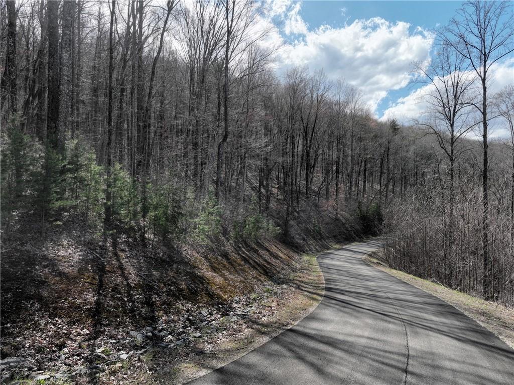 270 R Stone Cliff Drive Talking Rock, GA 30175 - Photo 11 of 34 a view of a backyard of the house