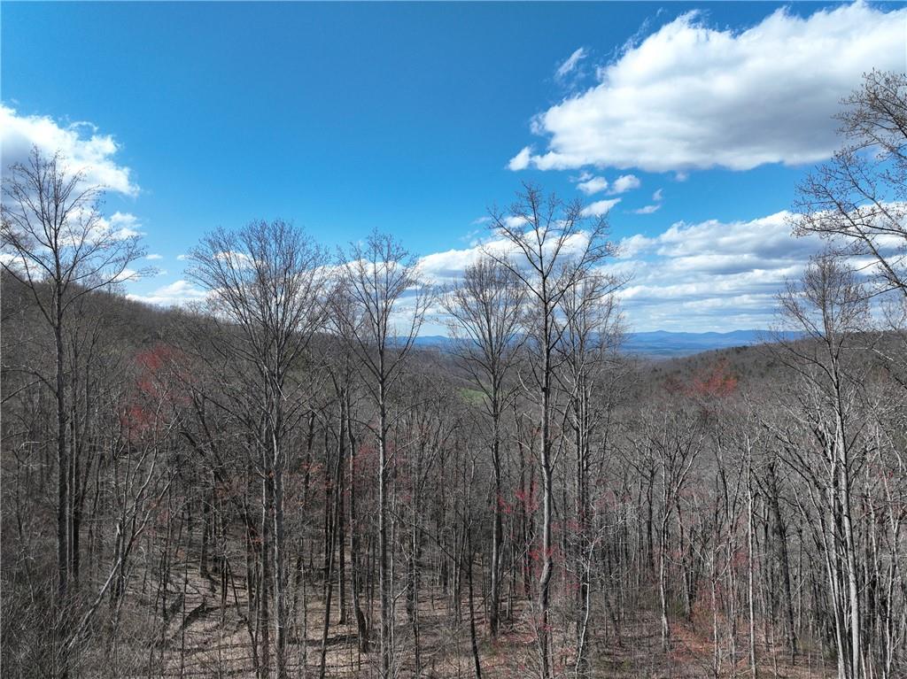 270 R Stone Cliff Drive Talking Rock, GA 30175 - Photo 13 of 34 a view of a yard