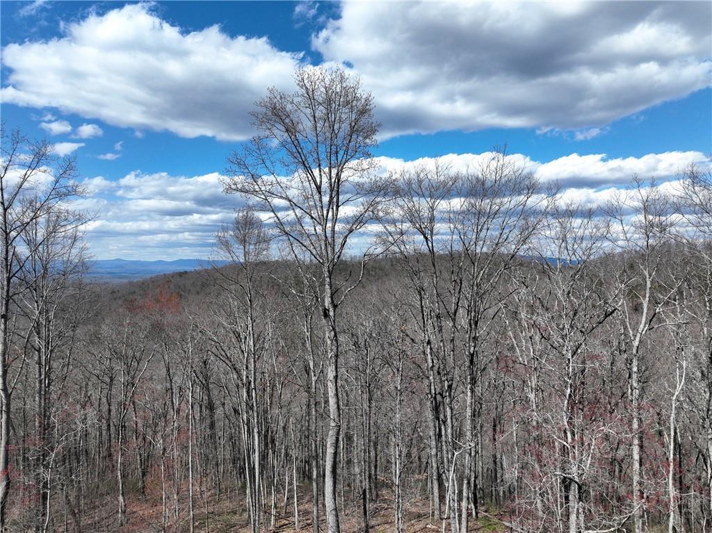 270 R Stone Cliff Drive Talking Rock, GA 30175 - Photo 14 of 34 a view of a building