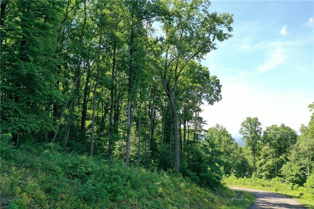 270 R Stone Cliff Drive Talking Rock, GA 30175 - Photo 17 of 34 a view of forest