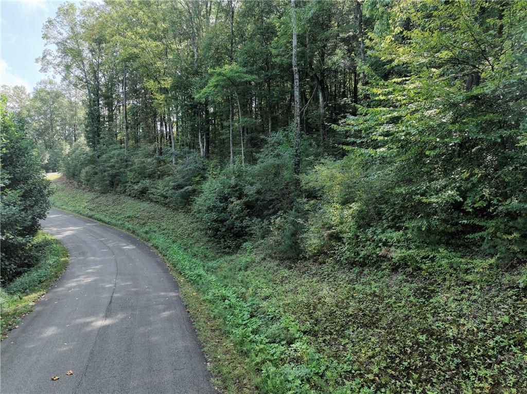 270 R Stone Cliff Drive Talking Rock, GA 30175 - Photo 18 of 34 a view of a forest with trees in the background