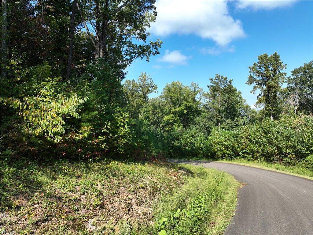 270 R Stone Cliff Drive Talking Rock, GA 30175 - Photo 19 of 34 a view of a garden
