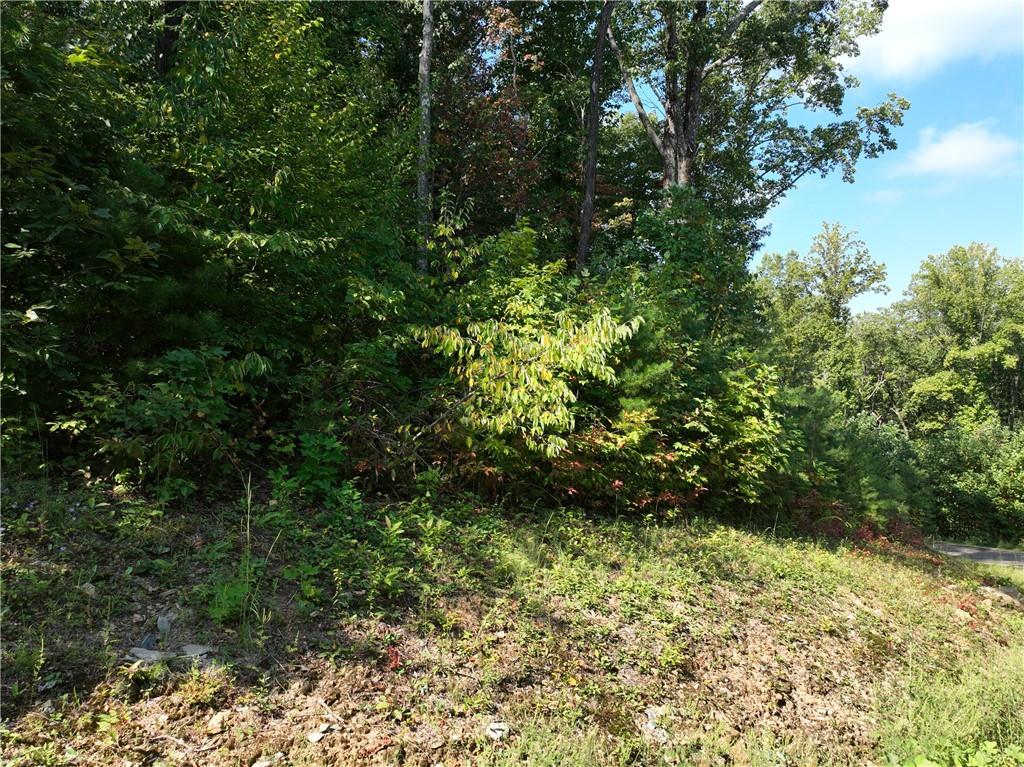 270 R Stone Cliff Drive Talking Rock, GA 30175 - Photo 20 of 34 a view of a yard with plants and a bench
