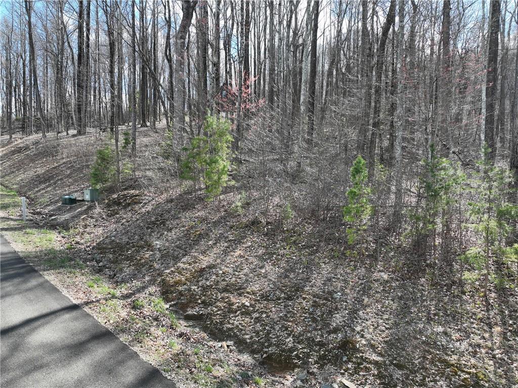 270 R Stone Cliff Drive Talking Rock, GA 30175 - Photo 2 of 34 a view of a yard with plants and wooden fence
