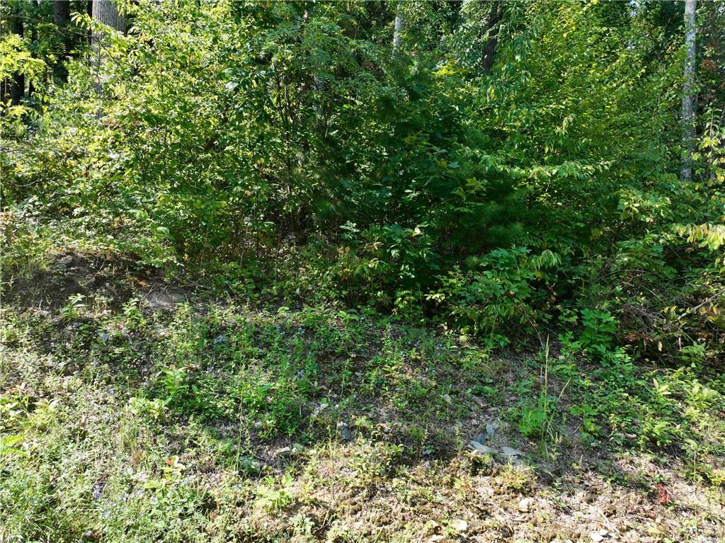 270 R Stone Cliff Drive Talking Rock, GA 30175 - Photo 21 of 34 a view of a lush green forest