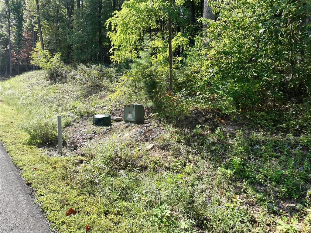270 R Stone Cliff Drive Talking Rock, GA 30175 - Photo 22 of 34 a view of a garden with a tree