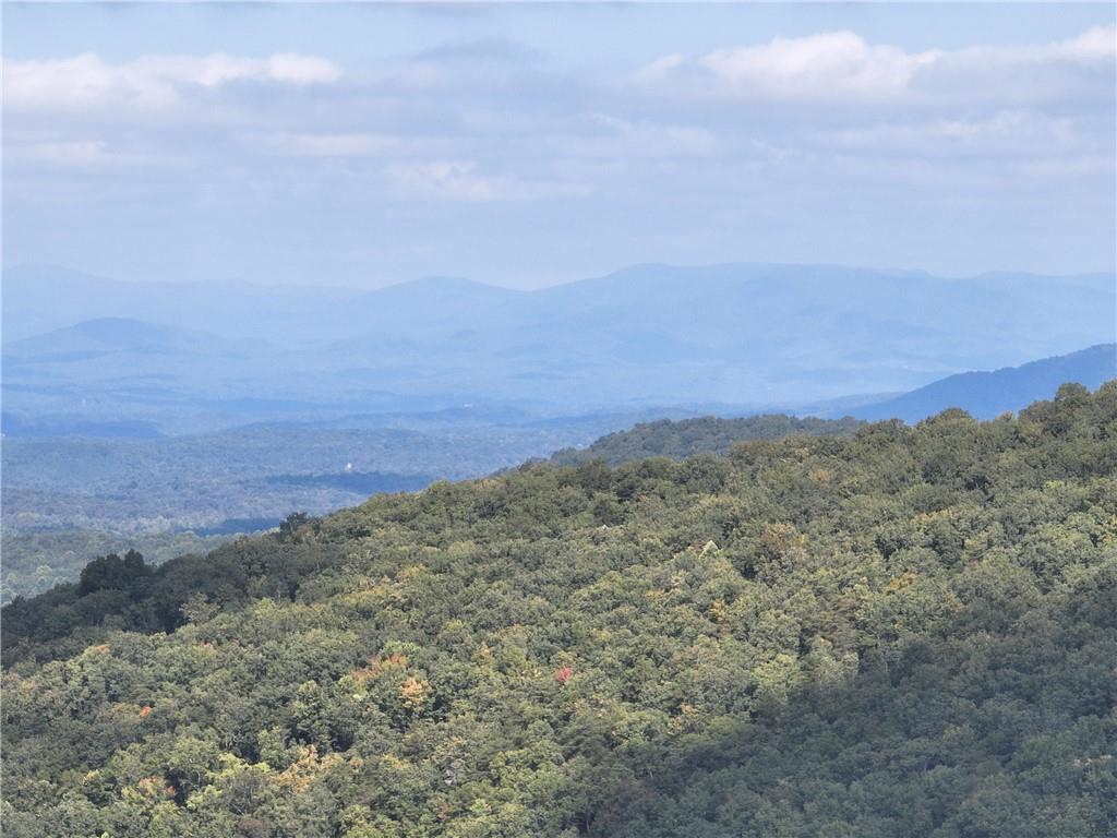 270 R Stone Cliff Drive Talking Rock, GA 30175 - Photo 23 of 34 a view of a field with trees in the background