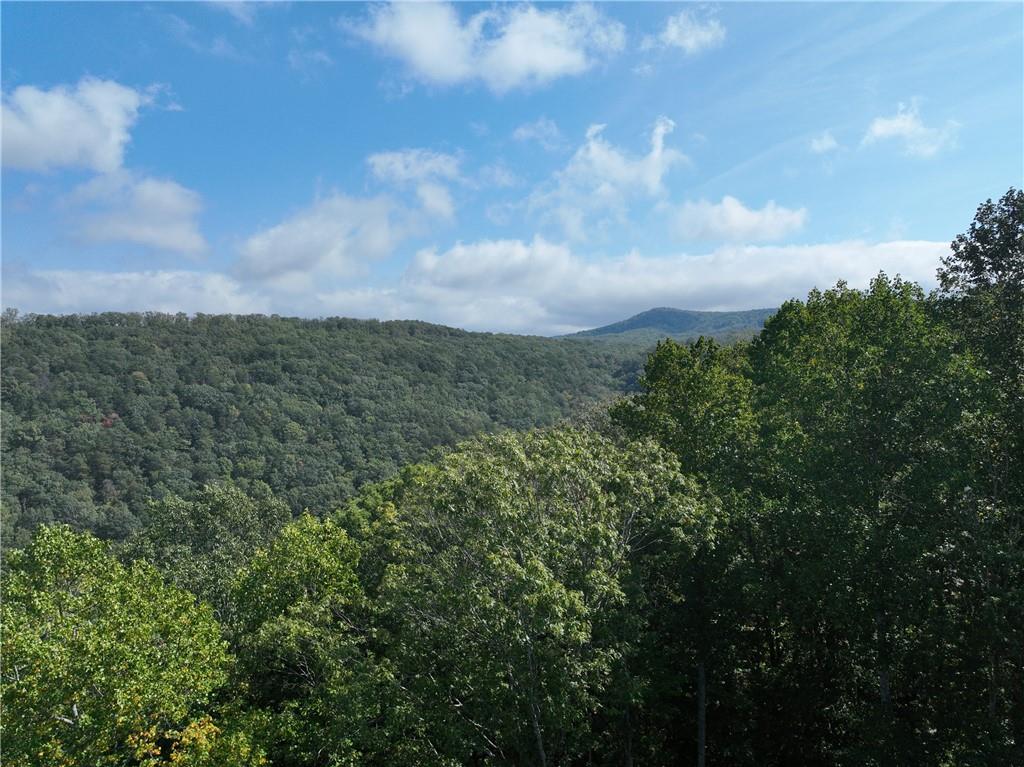 270 R Stone Cliff Drive Talking Rock, GA 30175 - Photo 24 of 34 a view of a big yard with lots of bushes