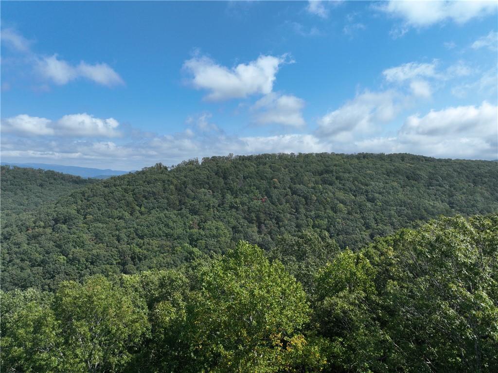 270 R Stone Cliff Drive Talking Rock, GA 30175 - Photo 25 of 34 a view of a yard