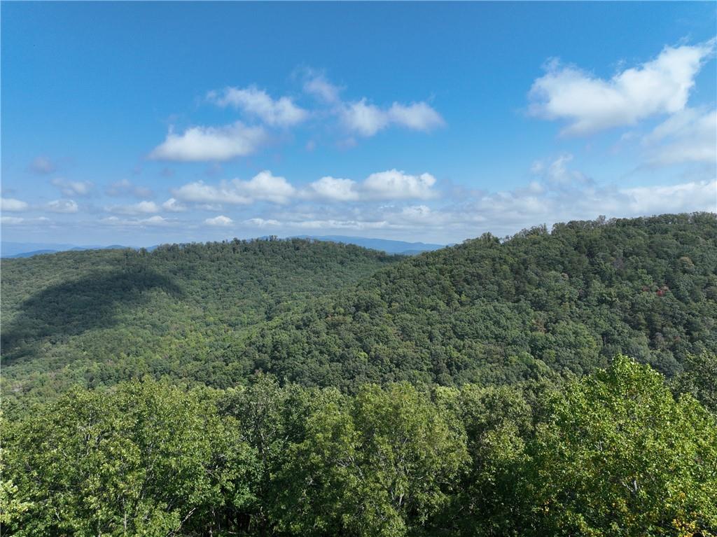 270 R Stone Cliff Drive Talking Rock, GA 30175 - Photo 26 of 34 a view of a bunch of trees in a field