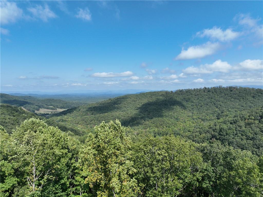 270 R Stone Cliff Drive Talking Rock, GA 30175 - Photo 27 of 34 a view of a big yard