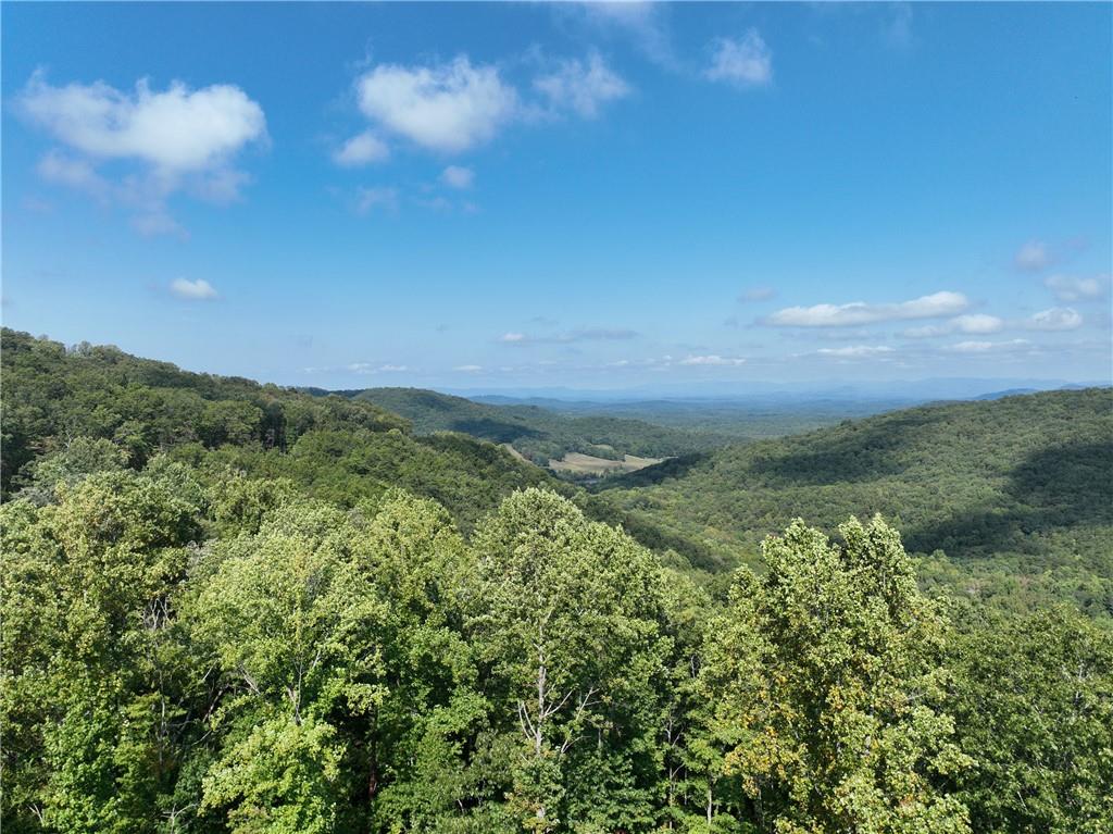 270 R Stone Cliff Drive Talking Rock, GA 30175 - Photo 28 of 34 a view of a green field