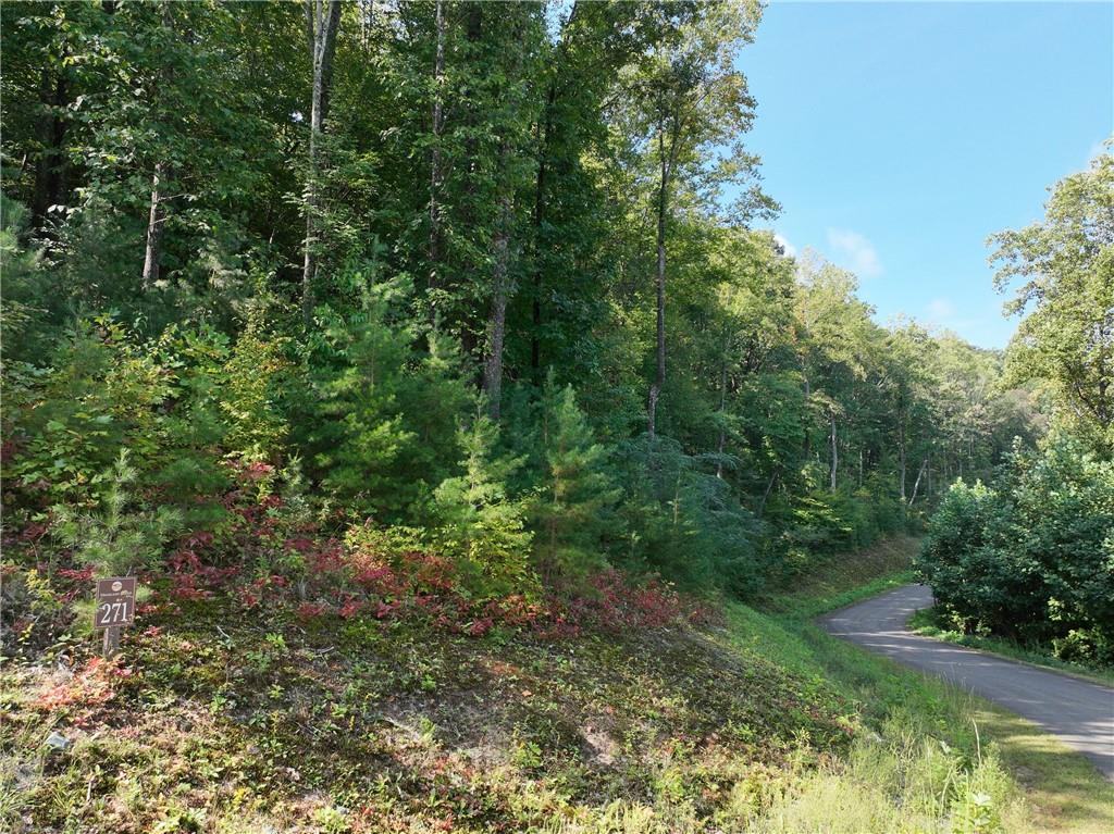 270 R Stone Cliff Drive Talking Rock, GA 30175 - Photo 29 of 34 a view of a lush green forest
