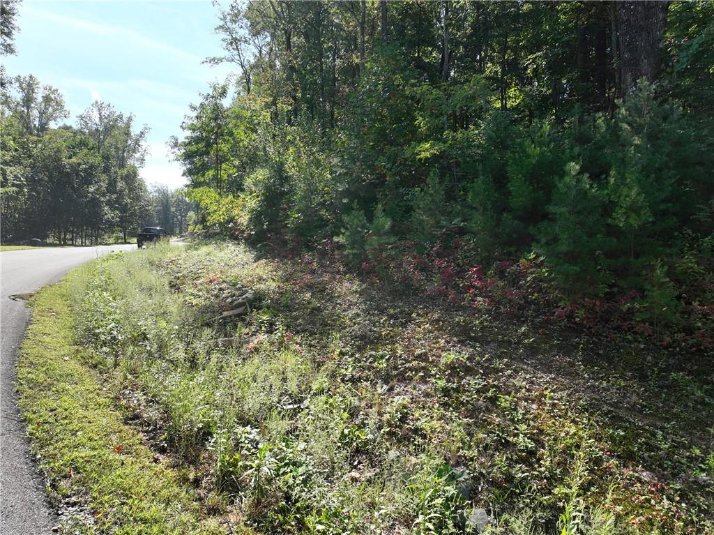 270 R Stone Cliff Drive Talking Rock, GA 30175 - Photo 33 of 34 a view of a yard with plants and trees