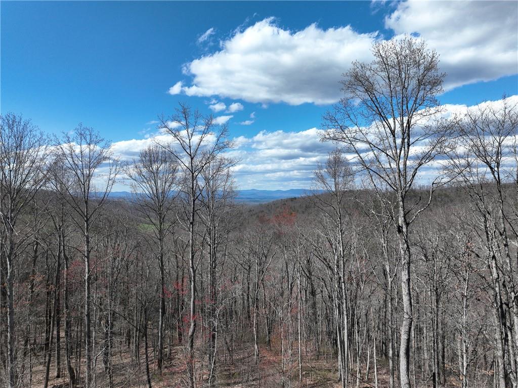 270 R Stone Cliff Drive Talking Rock, GA 30175 - Photo 4 of 34
