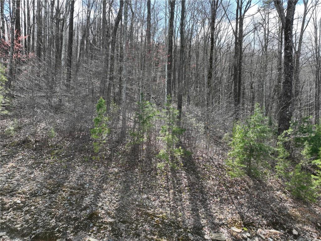 270 R Stone Cliff Drive Talking Rock, GA 30175 - Photo 5 of 34 a view of forest