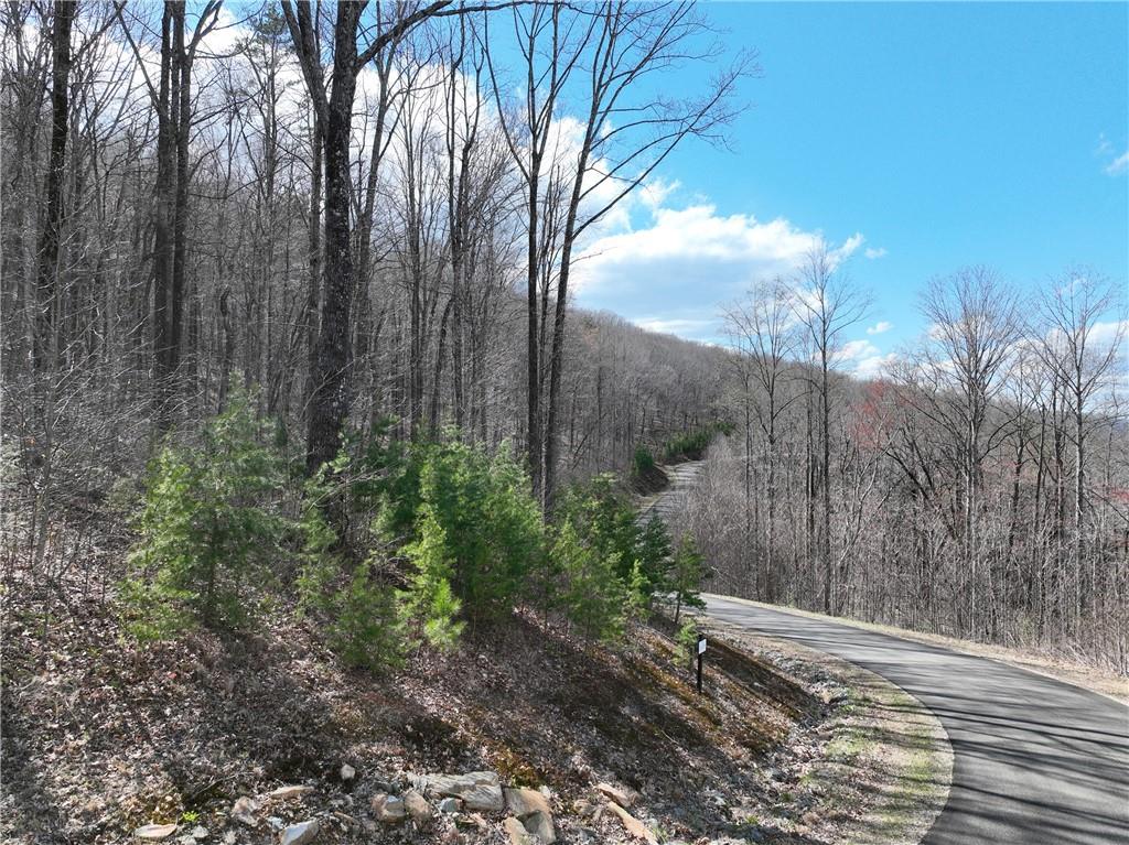 270 R Stone Cliff Drive Talking Rock, GA 30175 - Photo 6 of 34 a view of a backyard of the house