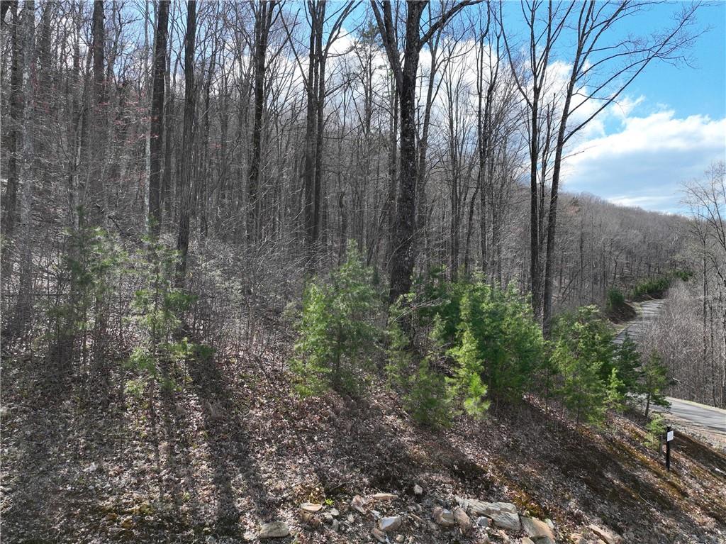 270 R Stone Cliff Drive Talking Rock, GA 30175 - Photo 8 of 34 a view of backyard with green space