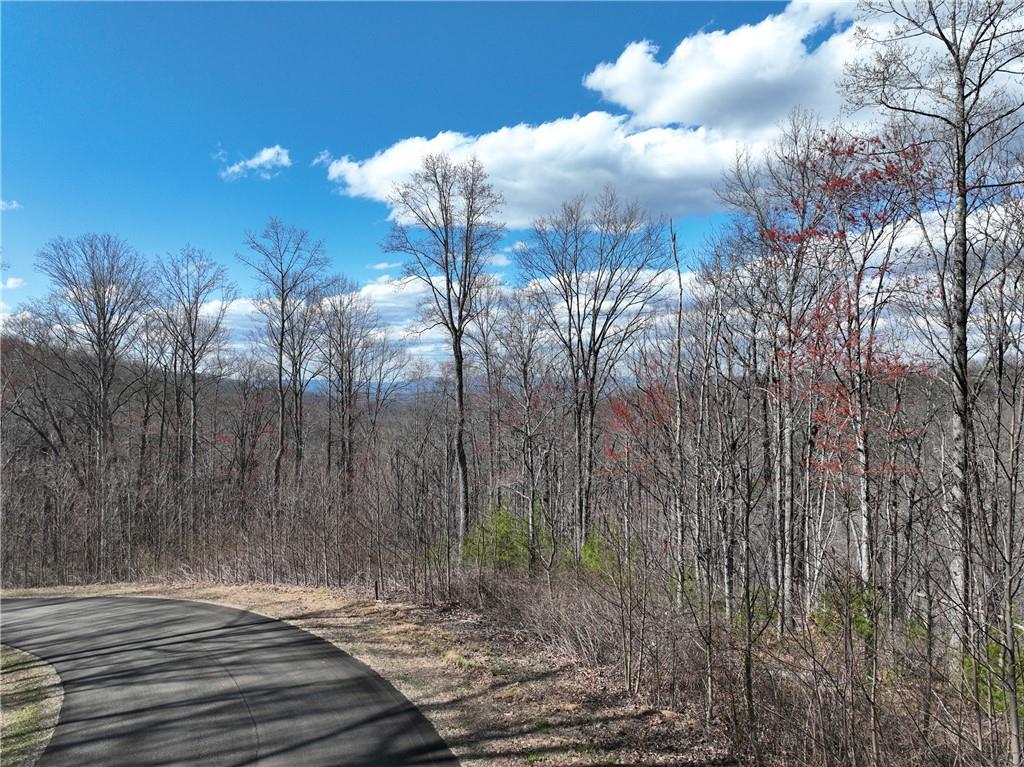 270 R Stone Cliff Drive Talking Rock, GA 30175 - Photo 9 of 34 a view of a backyard of a house