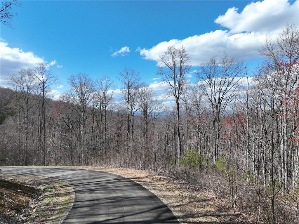 270 R Stone Cliff Drive Talking Rock, GA 30175 - Photo 10 of 34 a view of a backyard of the house
