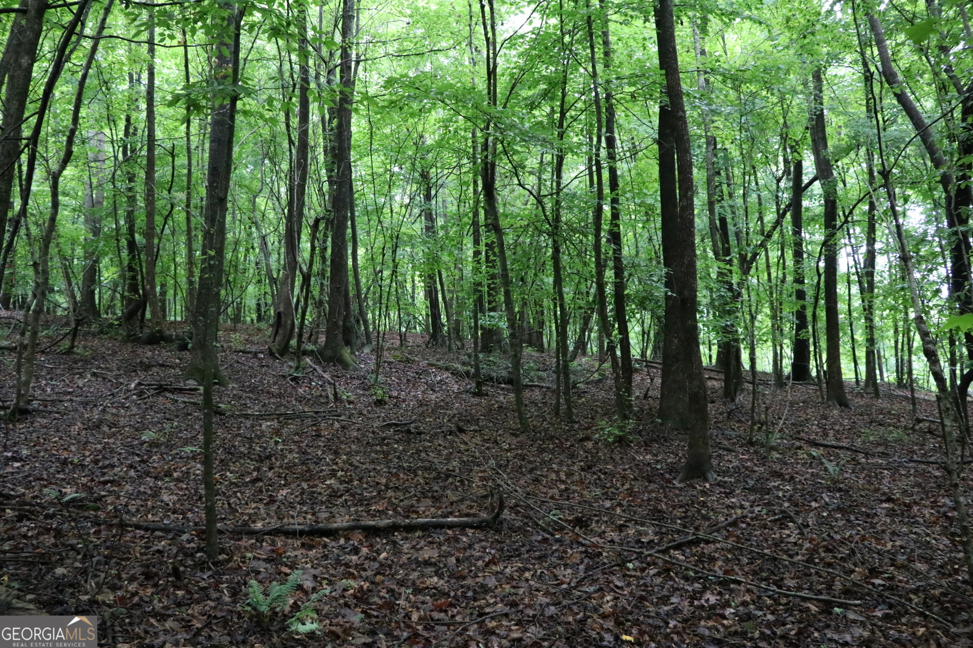 833 Neal Gap Road Summerville, GA 30747 - Photo 65 of 86