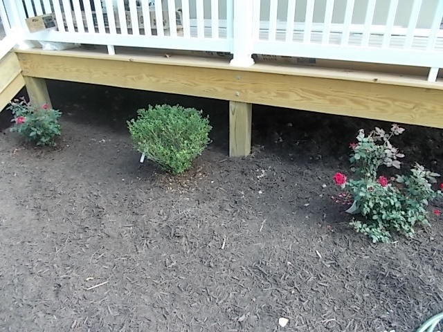 412 Jacoby Road Louisa, VA 23093 - Photo 5 of 7 a close view of a fireplace with wooden floor