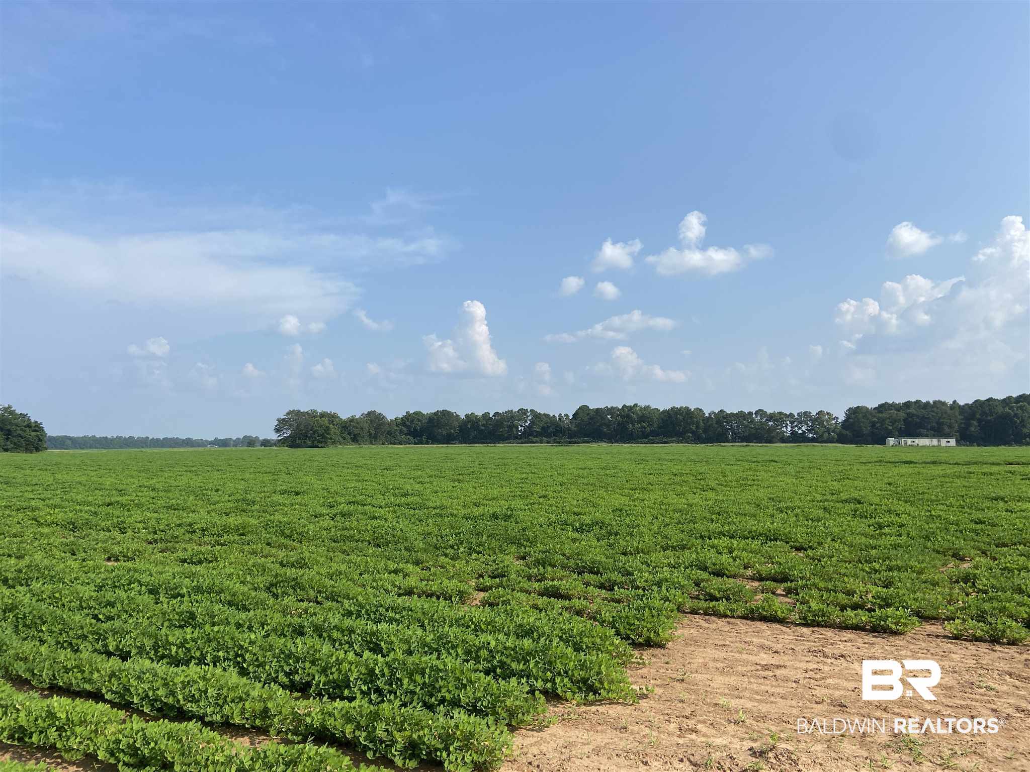 21 Highway 21 Atmore, AL 36502 - Photo 3 of 19