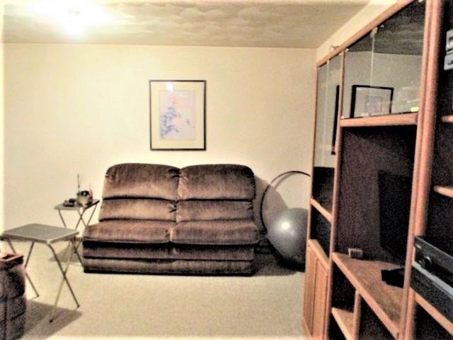 954 Winborne Road Lake Summerset, IL 61019 - Photo 19 of 26 a living room with furniture and a fireplace