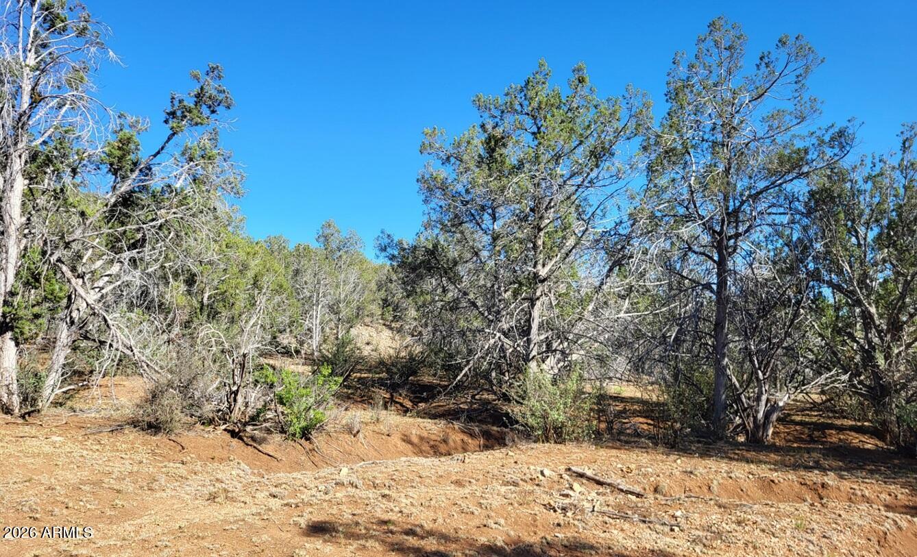 918 Wolf Road, Unit 918 Williams, AZ 86046 - Photo 4 of 18 e9e718f2-2c76-4aa5-b2bb-0d734d3a45d7
