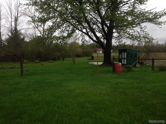 4830 Bowman Road St. Clair, MI 48079 - Photo 5 of 5 Back Yard.jpg