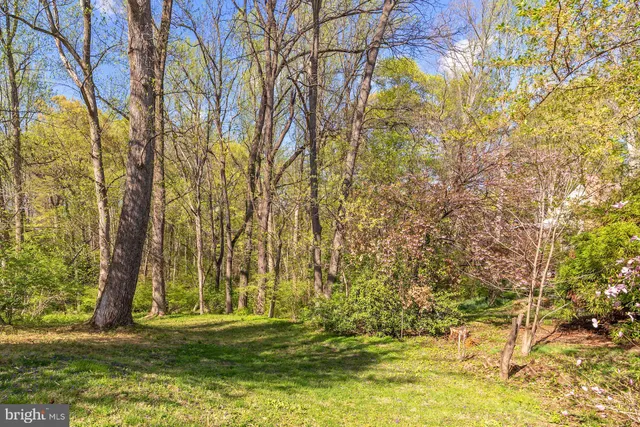 a view of a big yard with large trees