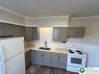 a kitchen with a sink a stove and refrigerator