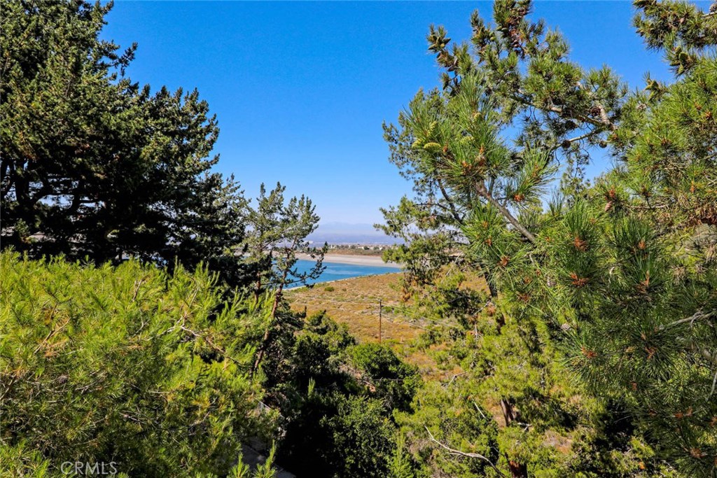 4 Lucerne, Unit 22 Newport Beach, CA 92660 - Photo 20 of 20 a close up of a tree in a yard