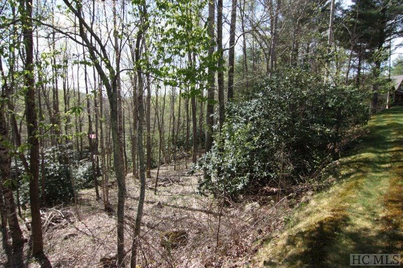 Lot 32 Center Ridge Road Sylva, NC 28779 - Photo 7 of 8 Gallery Image 7