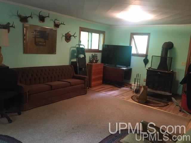 864 Niemi Road Skandia, MI 49885 - Photo 22 of 27