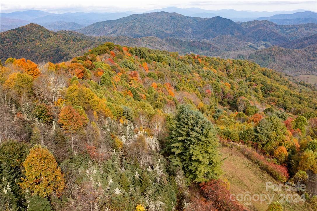 1375 Swing Road Burnsville, NC 28714 - Photo 13 of 48 a view of an outdoor space and mountain view