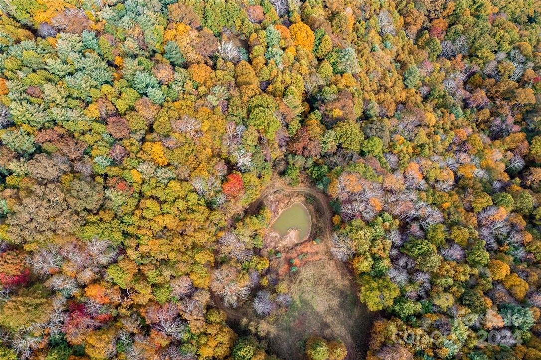 1375 Swing Road Burnsville, NC 28714 - Photo 14 of 48 a view of a tree