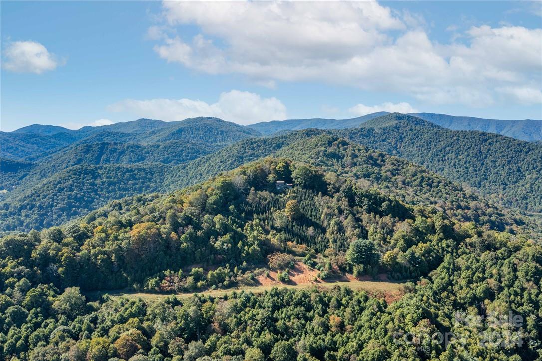 1375 Swing Road Burnsville, NC 28714 - Photo 17 of 48 a view of a bunch of flowers and trees